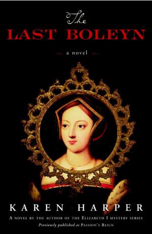 Cover of the book The Last Boleyn by Jeff D. Jacques