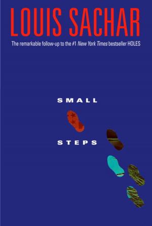 Cover of the book Small Steps by J. Robert Deans