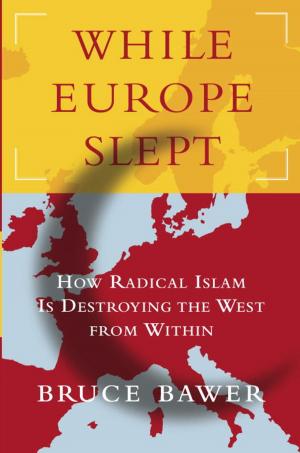 Cover of the book While Europe Slept by Tara Isabella Burton