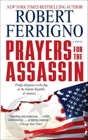 Book cover of Prayers for the Assassin
