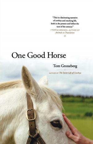 Cover of the book One Good Horse by Amy Hempel