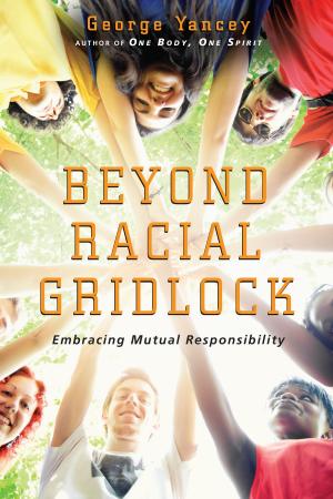 bigCover of the book Beyond Racial Gridlock by 