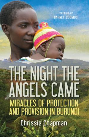 bigCover of the book The Night the Angels Came by 
