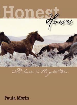 bigCover of the book Honest Horses by 