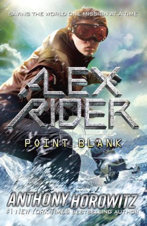 Cover of the book Point Blank by Robin Benway