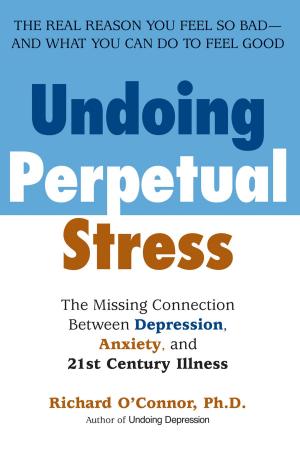 Book cover of Undoing Perpetual Stress