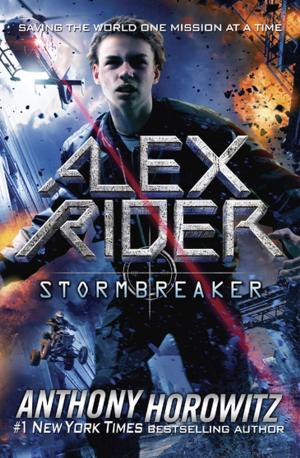 Book cover of Stormbreaker
