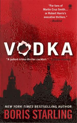 Cover of the book Vodka by Shalom Auslander