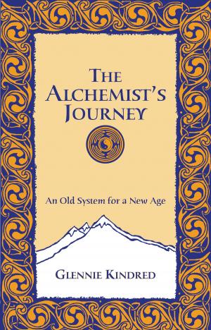 bigCover of the book The Alchemist's Journey by 