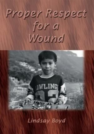 Cover of the book Proper Respect for a Wound by Amanda Peter