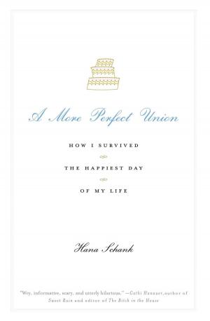 Cover of the book A More Perfect Union by William J. Birnes, Philip Corso