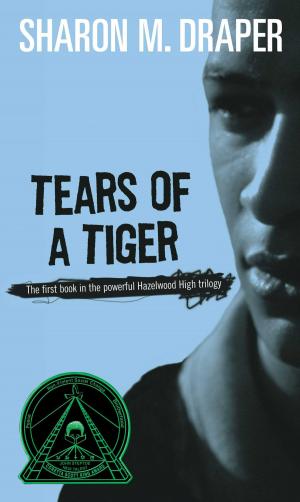 Cover of the book Tears of a Tiger by Phyllis Reynolds Naylor