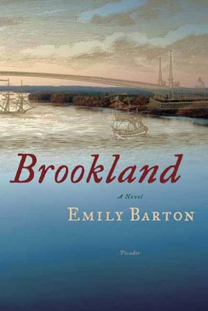 Cover of the book Brookland by Paul Beatty