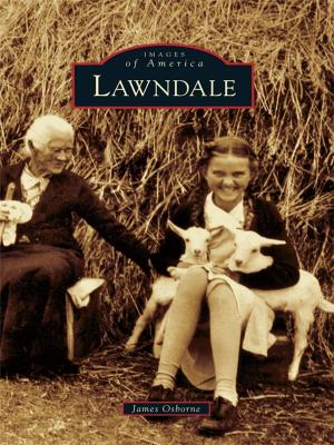 Cover of the book Lawndale by Clarence Watkins
