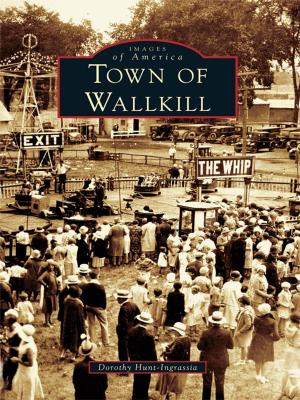 Cover of the book Town of Wallkill by Meg Rogers, J. A. Freitas Library