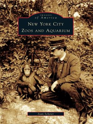 Cover of the book New York City Zoos and Aquarium by Judith Westlund Rosbe