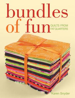 Cover of the book Bundles of Fun by Nancy Lamb