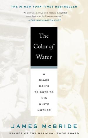 Cover of the book The Color of Water by Scott Haas