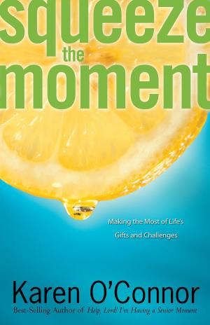 Cover of the book Squeeze the Moment by Holley Gerth