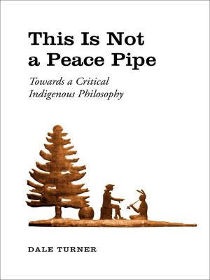 Book cover of This Is Not a Peace Pipe