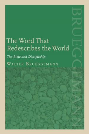 Book cover of Word that Redescribes the World