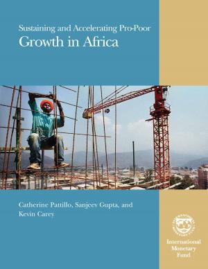 Cover of the book Sustaining and Accelerating Pro-Poor Growth in Africa by International Monetary Fund. External Relations Dept.