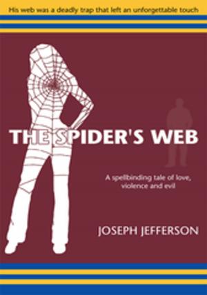 Cover of the book The Spider' S Web by Mary Ellen Bauer