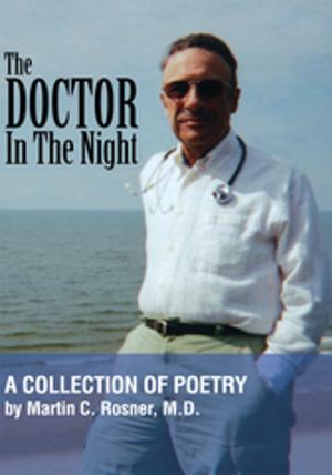 Cover of the book The Doctor in the Night by Vance I. Dash