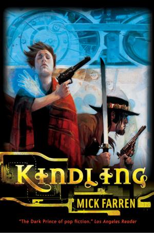 Cover of the book Kindling by Stephen R. Lawhead