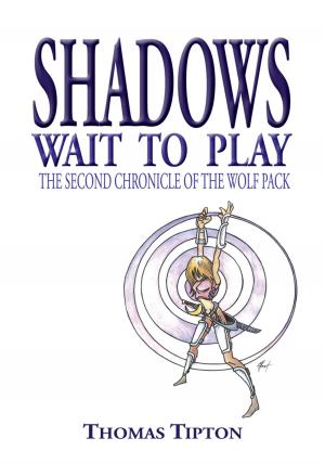 Cover of the book Shadows Wait to Play by Ms. Bernard Color Creations