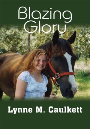 Cover of the book Blazing Glory by James Barnes