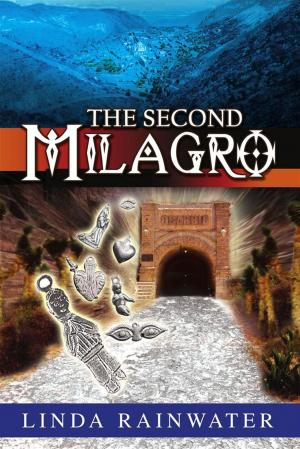 Cover of the book The Second Milagro by Donna Montgomery