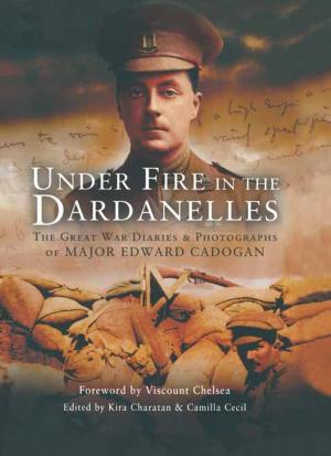 Cover of the book Under Fire in the Dardanelles by Dave Sloggett