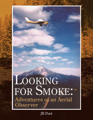 Cover of the book Looking for Smoke: Adventures of an Aerial Observer by Adrian Hunter