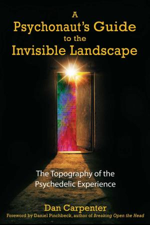Cover of the book A Psychonaut's Guide to the Invisible Landscape by Annie Le Martret