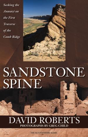 Cover of the book Sandstone Spine by Barbara Savage