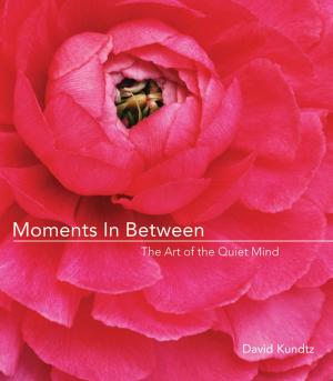 Cover of the book Moments in Between: The Art of the Quiet Mind by Rochelle Pittman, Steve Creemar, Norma Sydenham, Rob Goss, Linda King, Bill Atchison, Debbie Duchesne, Kate Anderson