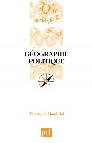 Cover of the book Géographie politique by Mathilde Saïet