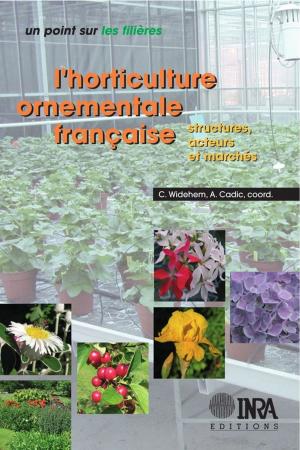 Cover of the book L'horticulture ornementale française by Philippe Parrel, Crespin Aglinglo, Jérôme Lazard, Idrissa Ali, Pierre Morissens, Pascal Roche