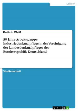 Cover of the book 30 Jahre Arbeitsgruppe Industriedenkmalpflege in der Vereinigung der Landesdenkmalpfleger der Bundesrepublik Deutschland by Gabriele Weydert-Bales