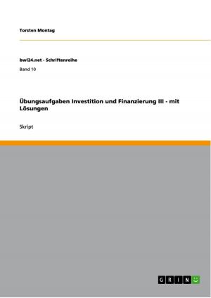 Cover of the book Übungsaufgaben Investition und Finanzierung III - mit Lösungen by Josephine Klingebeil
