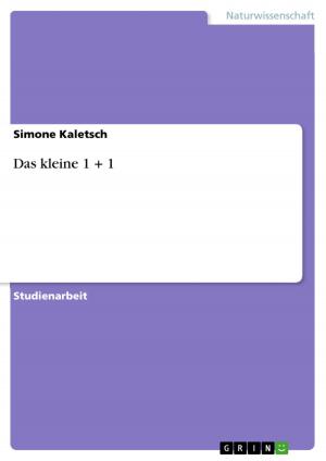 Cover of the book Das kleine 1 + 1 by Julia Schubert