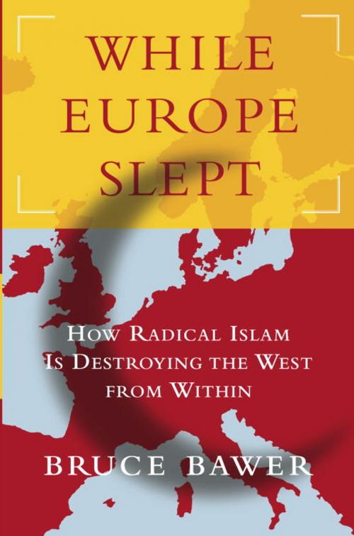 Cover of the book While Europe Slept by Bruce Bawer, Knopf Doubleday Publishing Group