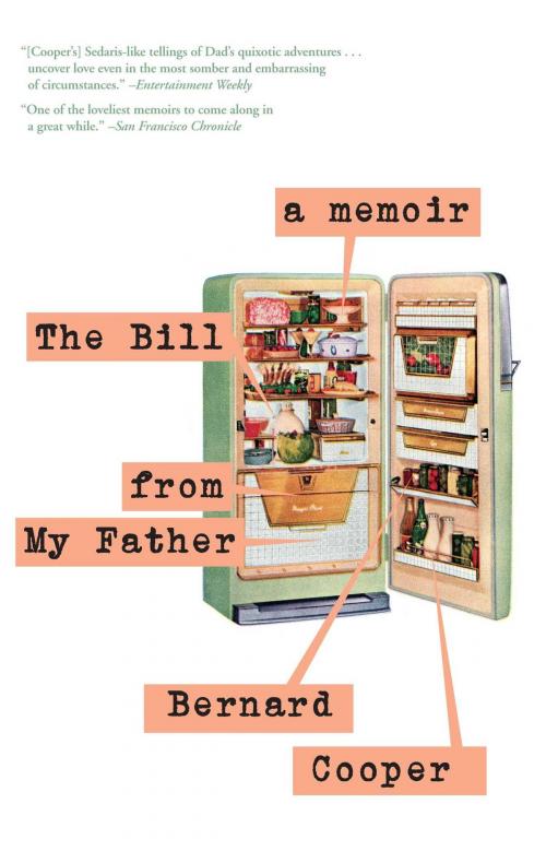 Cover of the book The Bill from My Father by Bernard Cooper, Simon & Schuster