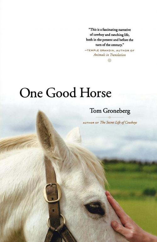 Cover of the book One Good Horse by Tom Groneberg, Scribner