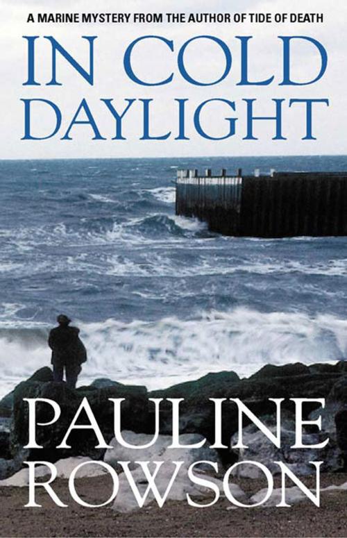 Cover of the book In Cold Daylight by Pauline Rowson, Summersdale Publishers Ltd