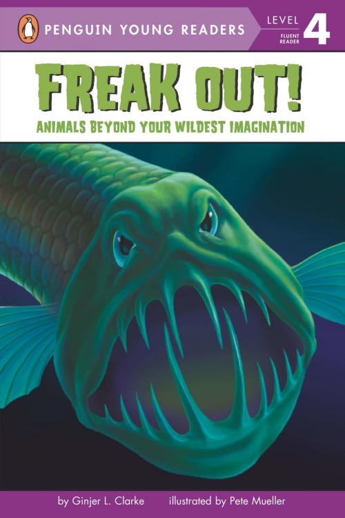 Cover of the book Freak Out! by Ginjer L. Clarke, Penguin Young Readers Group
