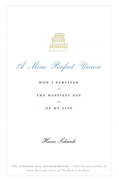 Cover of the book A More Perfect Union by Hana Schank, Atria Books