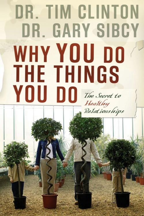 Cover of the book Why You Do the Things You Do by Tim Clinton, Thomas Nelson