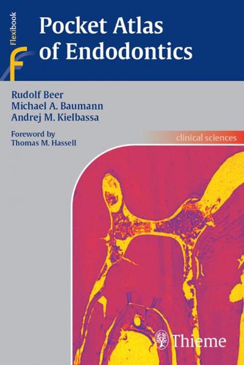 Cover of the book Pocket Atlas of Endodontics by Rudolf Beer, Michael Baumann, Georg Thieme Verlag